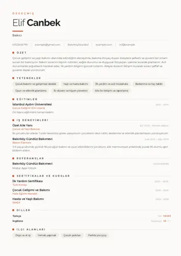 Bakıcı Cv Örnekleri cv indir